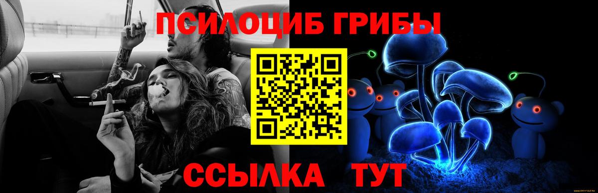 Галлюциногенные грибы Psilocybine cubensis Учалы